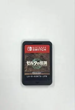 ゼルダの伝説 ティアーズ オブ ザ キングダム
