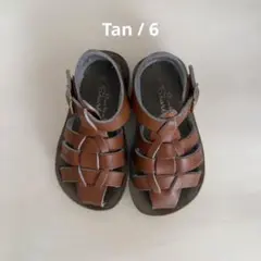 saltwater ソルトウォーター　shark tan size6のサムネイル