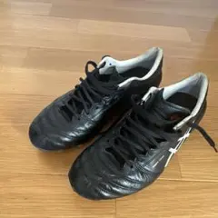 アシックス DSライト　X-FLY 25.5