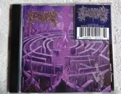 Civorous / Maze Envy