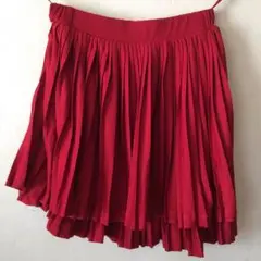 eartmusic&ecologyスカート