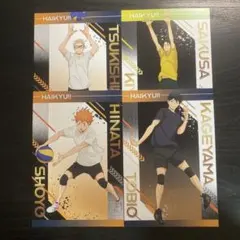 ハイキュー　ユース・疑似ユース合宿フェア　缶バッジ　ポストカード　国見英 ハイキュー ユース・疑似ユース合宿フェア 缶バッジ ポスト