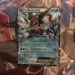 サトシゲッコウガEX PROMO XYシリーズ 218/XY-Pのサムネイル