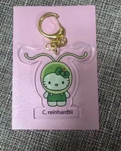 かおり様 リクエスト 2点 まとめ商品