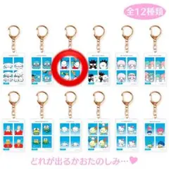 【在庫ラス1】サンリオ シークレット証明写真風キーホルダー2 ポチャッコ