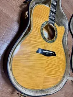 Aria Elecord FEA-120のサムネイル