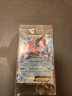 ポケモンカード ハルカのアチャモ タケシのミズゴロウ プロモ - メルカリ