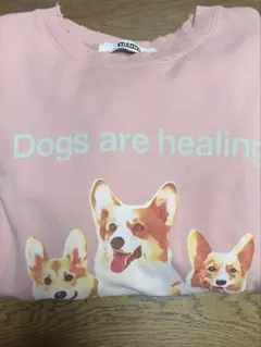 ワンエンオンリー　草川直弥 コラボスウェット　60%