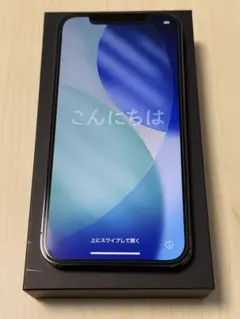 Apple iPhone 12 Pro 256GB グラファイト