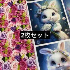 2枚セット　コットン生地 綿100%