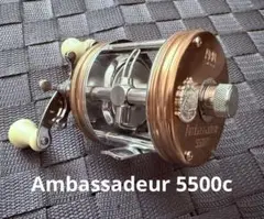 2025年最新】abu 5500シャンパンゴールドの人気アイテム - メルカリ
