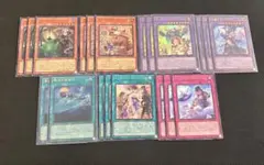 遊戯王 ウィッチクラフト デッキパーツ フルコンプ 24種 各3枚 - メルカリ