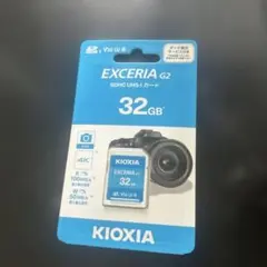 KIOXIA (データ復旧サービス付き)SDHC 連続撮影4K録画対応SDカード 