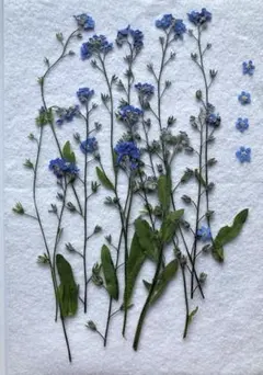 エミ様 リクエスト 3点 まとめ商品