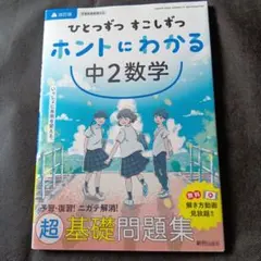 ぽにょ様 リクエスト 2点 まとめ商品