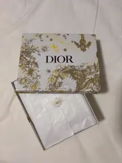 Lady Diorミニ／カナージュラムスキン