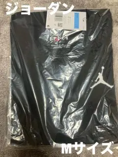 Item thumbnail for item 3605bb24-a31a-47b0-8cc1-11434995c79d