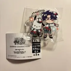 ひみつのアイプリ　サンリオ　アクリルキーホルダー　すばる×ポチャッコ