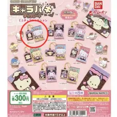 サンリオキャラクターズ キャラパキ ミニチュアコレクション　ポチャッコ