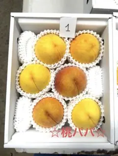 ①終了間近セール❗️秀品2キロ箱❗️ 大玉★桃パパ★【送料無料】あら川ブランド桃
