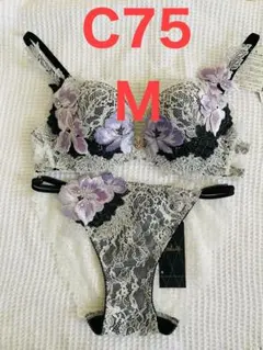 2026年最新】サルート 69の人気アイテム - メルカリ