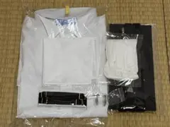 Item thumbnail for item 42c4e5f1-ac75-4886-b5f8-f8f398a261db