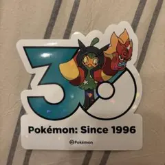 7*5様 ポケモン メガフェスタ 30周年ランダムステッカー 韓国