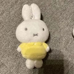 Item thumbnail for item c0a07332-411a-4c65-871a-1854a9d5563d