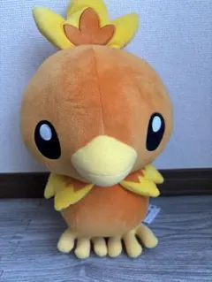 ポケモン　アチャモ　ぬいぐるみ