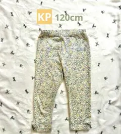 Item thumbnail for item ce2d2e4c-612d-45c0-a114-c07f429411ee