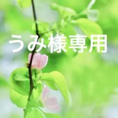 うみ様専用ページです。