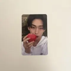 ENHYPEN THE SIN : VANISH ソヌ トレカ