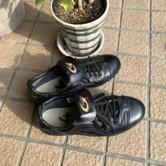 アシックス野球スパイクシューズ