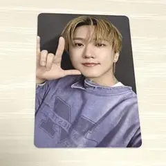 straykids スキズ チャンビン DOIT トレカ