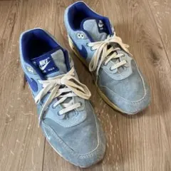 NIKE AIR MAX 1 DV3050-300 28cmのサムネイル
