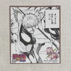 銀魂　アニメイト　ジャンプフェア　ミニ色紙　坂田銀時