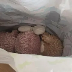 ダッフィー&シェリーメイ　ぬいぐるみセット