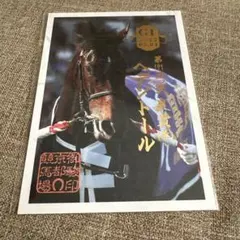 2026年最新】京都競馬場の人気アイテム - メルカリ