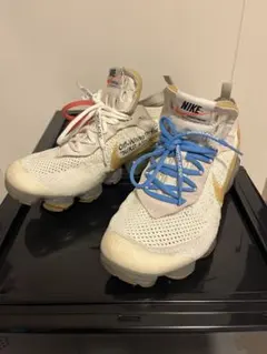 【メーカー完売】NIKE　ゴルフシューズ　ネリーコルダ　29cm メーカー完売】NIKE ゴルフシューズ ネリーコルダ 29cm - メルカリ