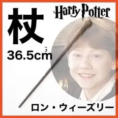 ハリーポッター ロン・ウィーズリー 杖 ワンド スタジオツアー USJ 冬休み