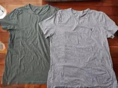 ALLSAINTS Tシャツ 2枚セット Lサイズ