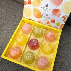 中島大祥堂　ピッコロドルチェ　9号　ゼリー