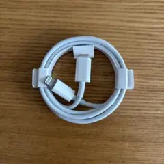 Apple Lightningケーブル ホワイト
