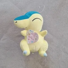 ポケモン ヒノアラシ ぬいぐるみ タグ付き - メルカリ