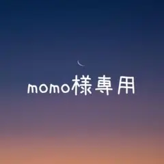 momo様 リクエスト 2点 まとめ商品