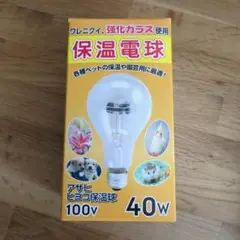 Item thumbnail for item afc9d454-bdef-44c8-ac57-dc61b9119f4a