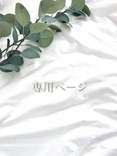 さっちさま専用