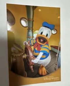 ディズニー　スペシャルフォト　スペフォ ドナルド　写真