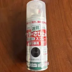 퀵 드라이 컬러 녹 방지 스프레이, 블랙, 글로스