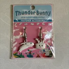 サンダーバニー　ストラップ　バッグチャーム　マスコット　ジュエリーミントケース NOLITA LABORATORY リアル ヘルメット ベア クマ チャーム ロープ